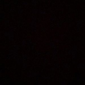 Meet your Posher, Syd